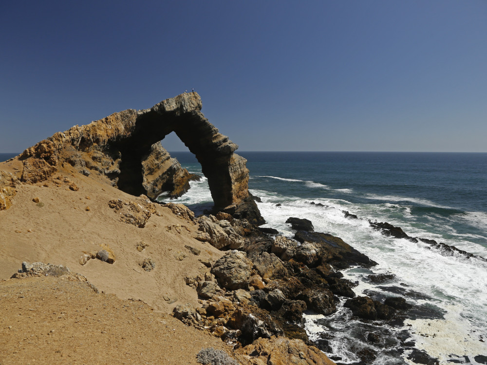 Het mysterie van Skeleton Coast - Undiscovered