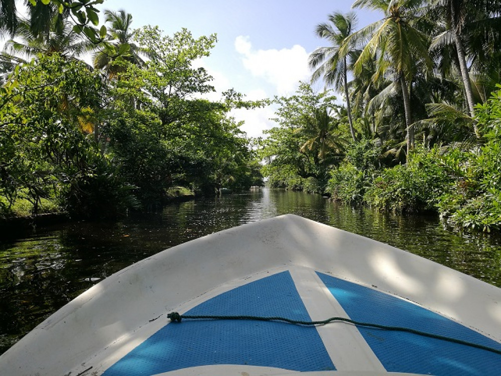 Muthurajawela Marsh, Sri Lanka - Undiscovered.nl