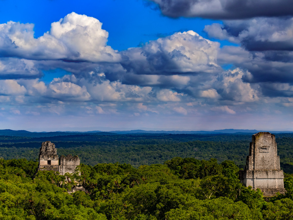 Maya tempels van Tikal, Guatemala - Undiscovered.nl